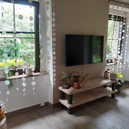 V Podzamci Apartment *